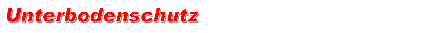 unterbodenschutz